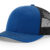 Royal/Black