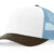 White/Columbia Blue/Brown