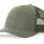 Loden